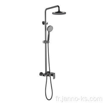 Arme gris de douche de salle de bain robinet